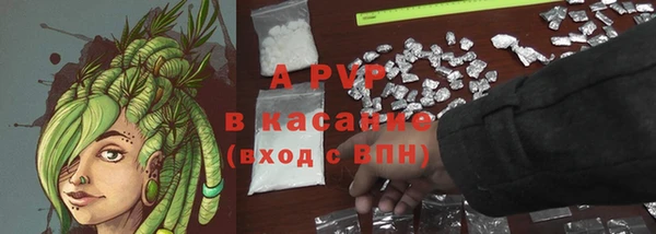 ешки Пересвет