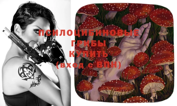 МДПВ Осташков