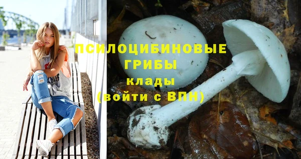 МДПВ Осташков