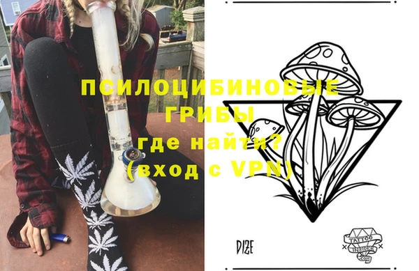бошки Осинники