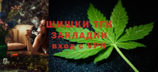 МДПВ Осташков
