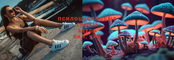 МДПВ Осташков